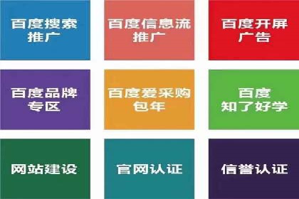 竞价推广成功案例解析